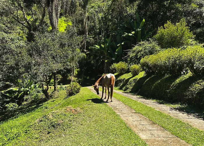 Refugio Jabuticaba, Casa Da Mata - Voce Imerso Na Mata Atlantica